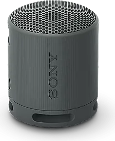 Sony SRS-XB100